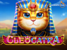 Cool cat casino no deposit bonus codes. Northern lights casino review.49